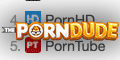 The Porn Dude